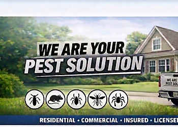 Modern Solutions Pest Control Modern Solutions Pest Control - Rockford, IL Pest Control Companies - Company Logo