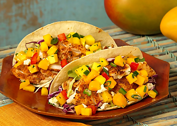 Modern Tortilla - Gilbert, AZ Food Trucks - Food Image