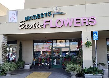 Modesto Florists Modesto Exotic Flowers