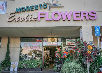 Modesto Exotic Flowers Modesto Florists