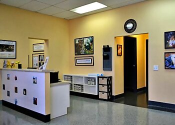 Escondido Veterinary Clinics Mohnacky Animal Hospitals Escondido