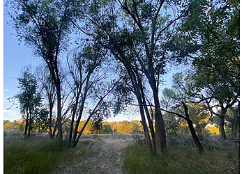 Victorville Hiking Trails Mojave Narrows Regional Park