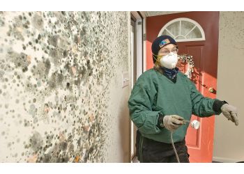 Mold Inspection & Testing
