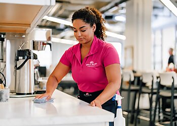 Ann Arbor House Cleaning Services Molly Maid of Ann Arbor