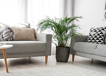 Baton Rouge House Cleaning Services Molly Maid of Baton Rouge