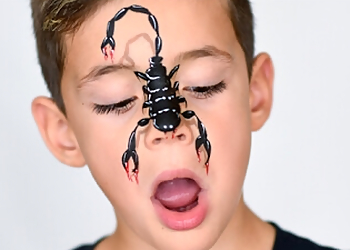 Provo Face Painting Monacha Face Painting