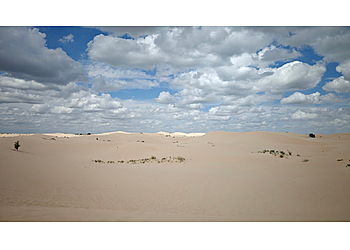 Monahans Sandhills State Park  - Odessa, TX Hiking Trails - Scenic View Image