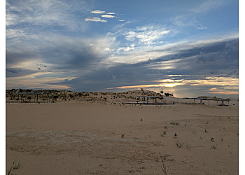Monahans Sandhills State Park  - Odessa, TX Hiking Trails - Trail Image