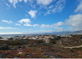 Santa Maria Hiking Trails Monarch Butterfly Grove