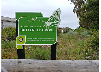 Monarch Butterfly Grove Santa Maria Hiking Trails image 1