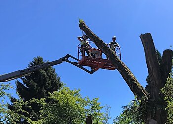 Portland Tree Services Monkeyman's Tree Service