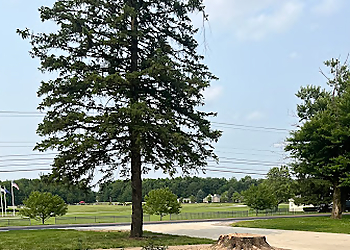 Fort Wayne Tree Services Monster Tree Service