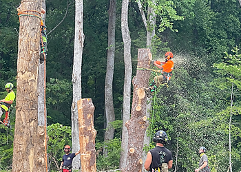 Fort Wayne Tree Services Monster Tree Service