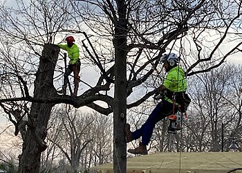 Omaha Tree Services Monster Tree Service Of Omaha