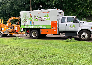 Monster Tree Service of Hartford Hartford Tree Services image 1