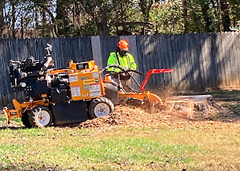 Monster Tree Service of Knoxville Knoxville Tree Services image 1