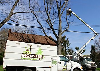 Frisco Tree Services Monster Tree Service of North Dallas