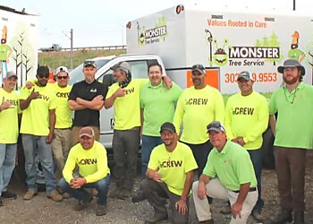 Denver Tree Services Monster Tree Service of North Metro Denver