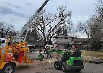 Thornton Tree Services Monster Tree Service of North Metro Denver