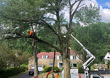 Pittsburgh Tree Services Monster Tree Service of Pittsburgh