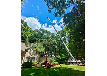 Rochester Tree Services Monster Tree Service of Rochester