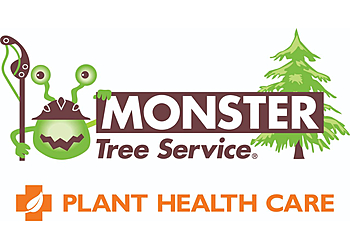 Rochester Tree Services Monster Tree Service of Rochester