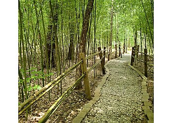Huntsville Hiking Trails Monte Sano State Park