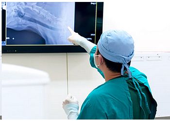 Santa Rosa Veterinary Clinics Montecito Veterinary Center