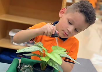 Miami Gardens Preschools Montessori School of Miami Gardens