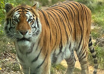 Montgomery Places To See Montgomery Zoo