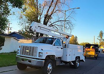 Montufar's Tree Service Glendale Tree Services image 1