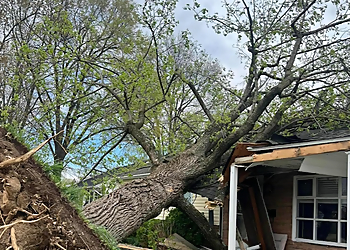 Nashville Tree Services Moore & Smith Tree Care, LLC