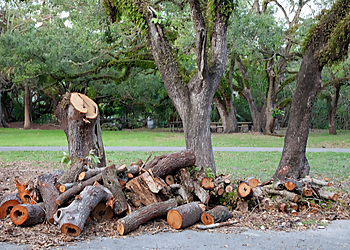 Shreveport Tree Services Moose's Tree Service LLC