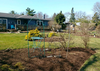 Joliet Tree Services Moreno Tree Service Inc