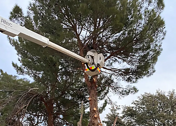 Moreno Valley Tree Services - Moreno Valley, CA Tree Services - Outdoor Work Image