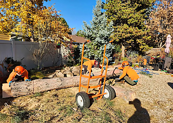 Moreno Valley Tree Services Moreno Valley Tree Services - Moreno Valley, CA Tree Services - Team Working Image