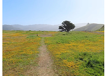 Mori Point Trail Daly City Hiking Trails image 1