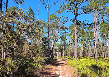 Morningside Nature Center - Gainesville, FL Hiking Trails - Trail Image