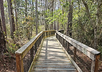 Morningside Nature Center - Gainesville, FL Hiking Trails - Scenic View Image