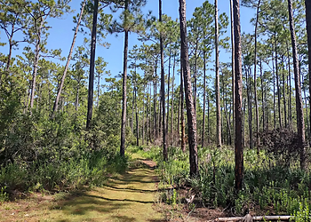 Morningside Nature Center - Gainesville, FL Hiking Trails - Destination Image