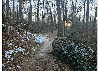 Atlanta Hiking Trails Morningside Nature Preserve
