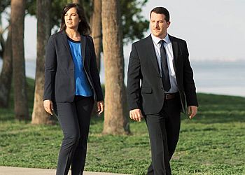 St Petersburg Criminal Defense Lawyers Morris Law Firm