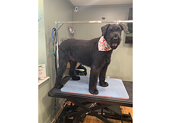 Mosa Pet Spa & Boutique - Cary, NC Pet Grooming - On-Site Service Image