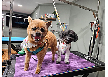Mosa Pet Spa & Boutique Mosa Pet Spa & Boutique - Cary, NC Pet Grooming - Service Image