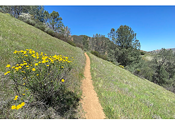 Walnut Creek Hiking Trails Mount Diablo State Park