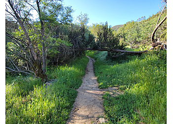 Walnut Creek Hiking Trails Mount Diablo State Park