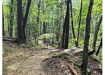 Springfield Hiking Trails Mount Tom State Reservation