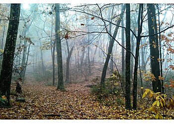 Springfield Hiking Trails Mount Tom State Reservation