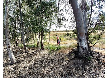 Chula Vista Hiking Trails Mountain Hawk Park