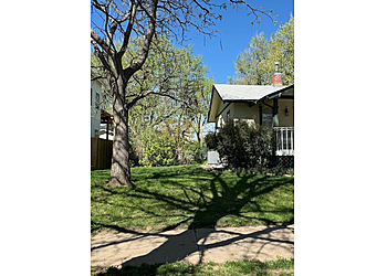 Aurora Lawn Care Services Mow and Snow